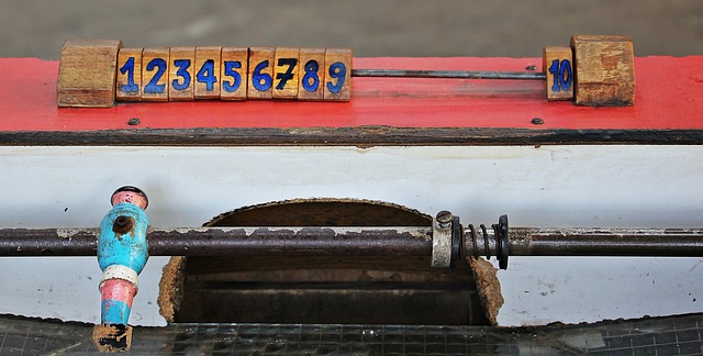 及球迷们共 及球迷们共