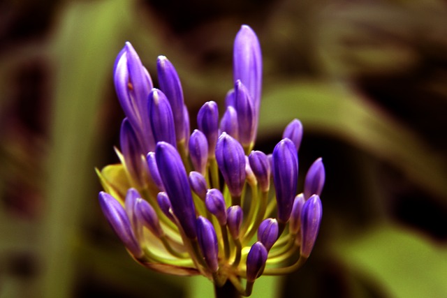 控场能力使 控场能力使