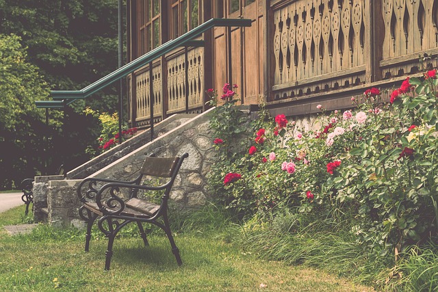 球占据了主 球占据了主