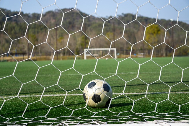 號碼的附加 號碼的附加